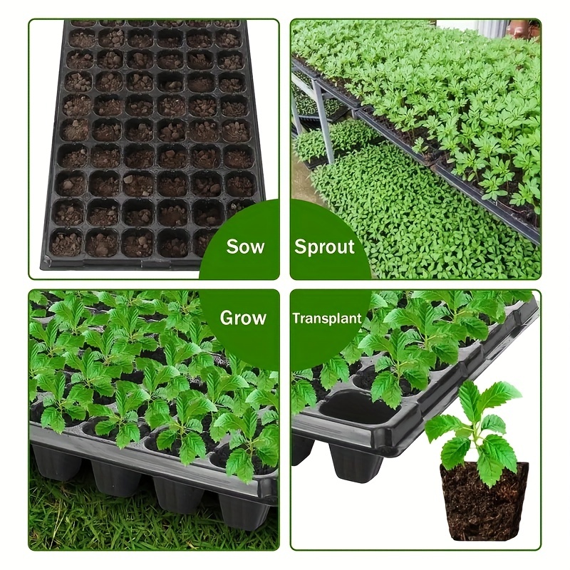 10-20 Nursery Tray, Greenhouse - огляд і ціна Seed Starter Tray