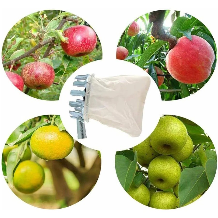 3-in-1 Fruit Harvesting Tool S - огляд і ціна Grow Bag