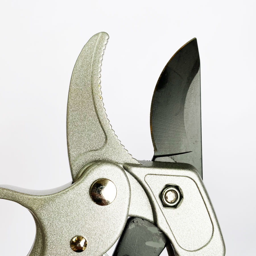 Professional Ratchet Pruning S - огляд і ціна Pruning Shears