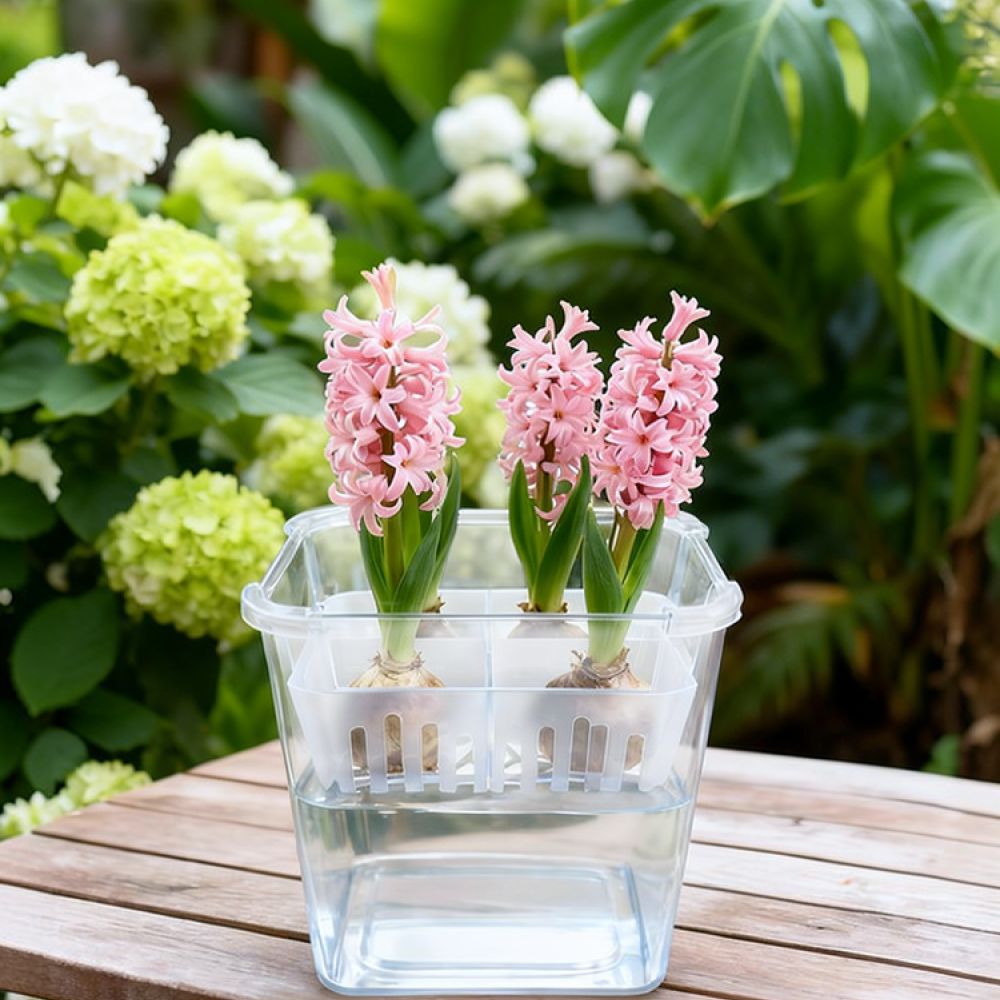 Hydroponic Vase For Tulip Lily - огляд і ціна Plant Pot