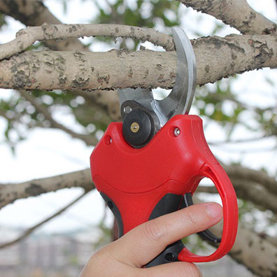 25-40mm Cutting Orchard Vineya - огляд і ціна Pruning Shears