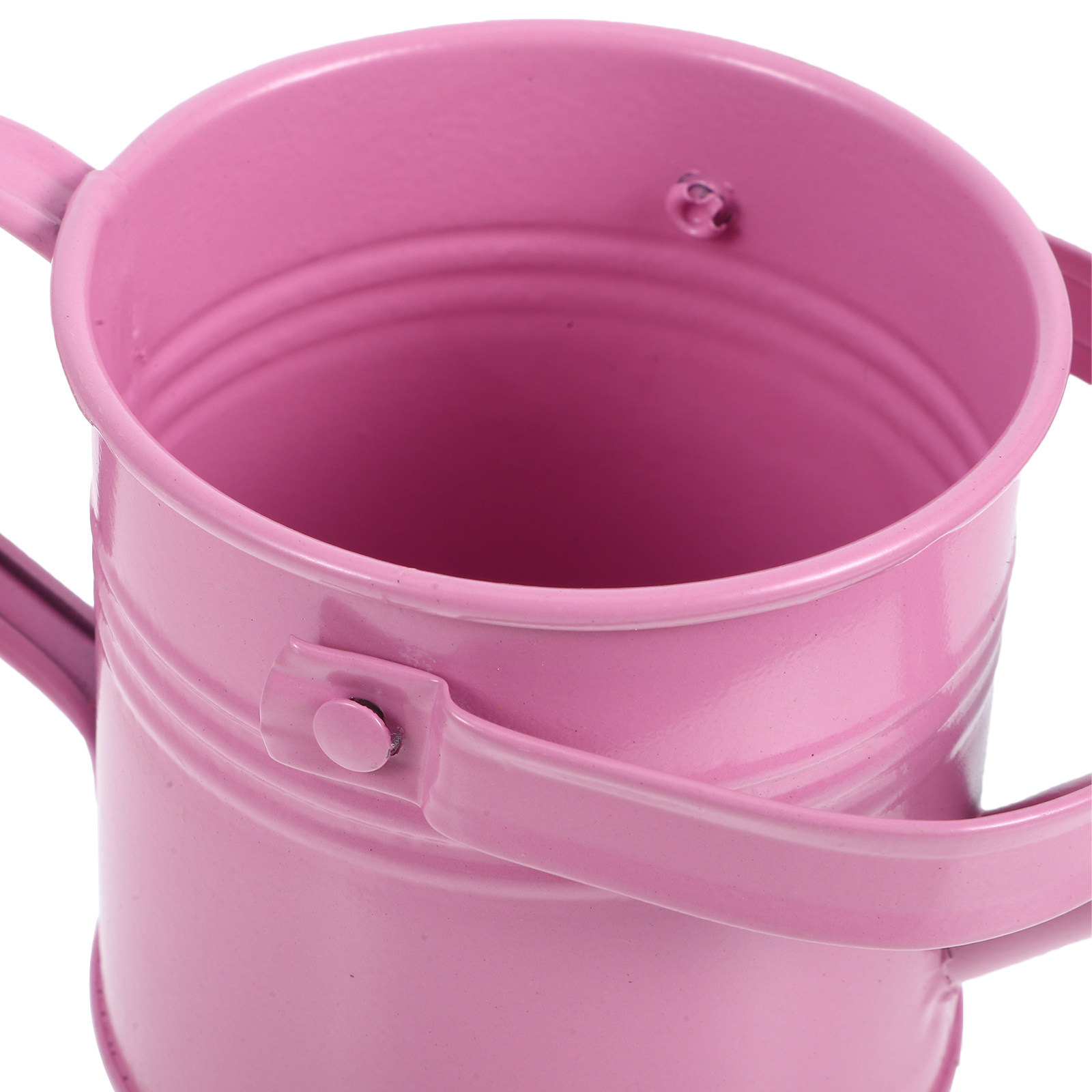 Mini Metal Watering Can Flower - огляд і ціна Watering Can