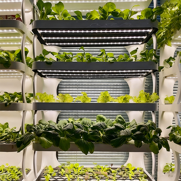 Intelligent Indoor Garden Plan - огляд і ціна Grow Light Led